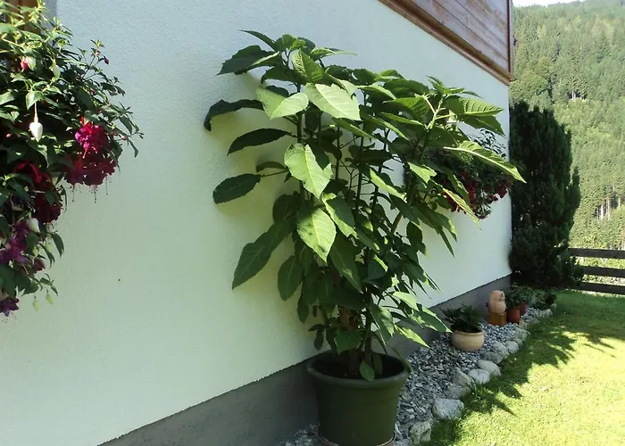 Apartmán Gondelblick Wagrain